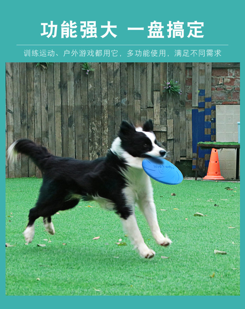 Dog Flying Tray_03.jpg