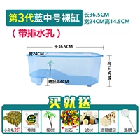 Среднее число 3-го поколения.