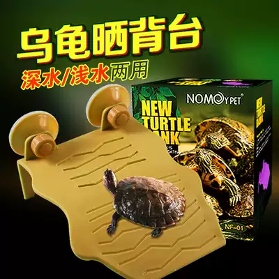 Sun platform Brazilian tortoise turtle turtle turtle turtle reptile Sun platform floating island floating platform climbing platform climbing slope