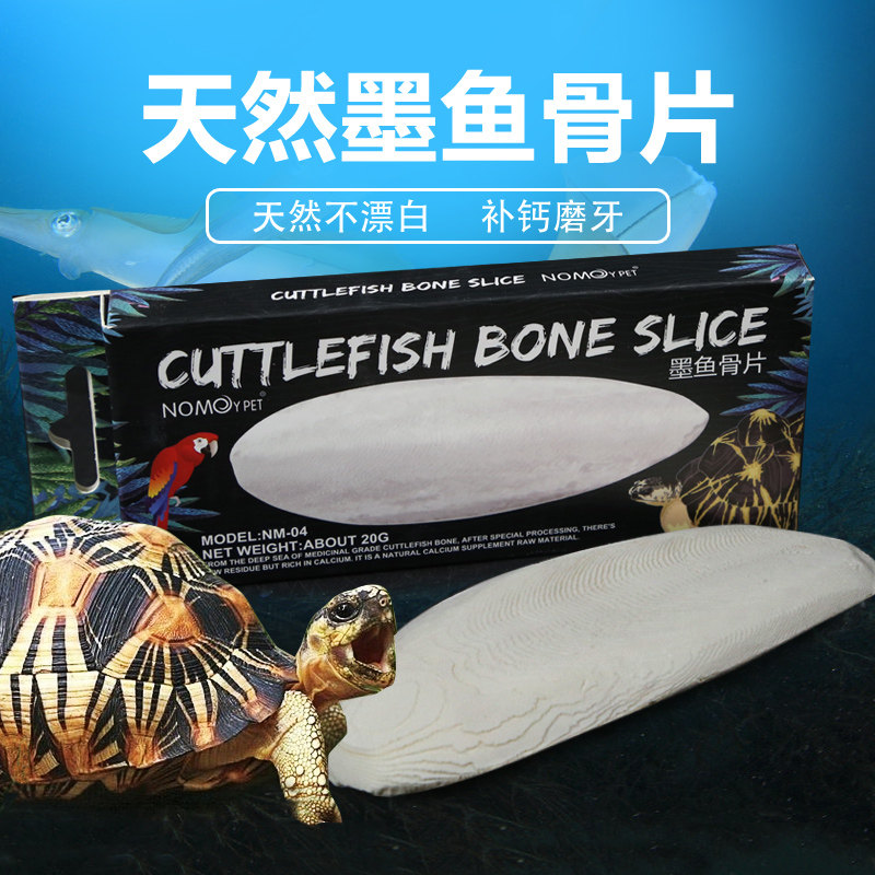 Reptile Cuttlefish bone Turtle Water turtle Tortoise Parrot Molar D3 calcium powder Hamster nutrition Calcium supplement Feed