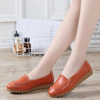 E76-А-оранжевый