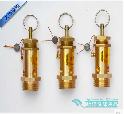 Steam Safety Valve 4-Point Interface/Dry Cleaning Shop Equipment/Steam Generator Accessories/Ball Valve/Check Valve