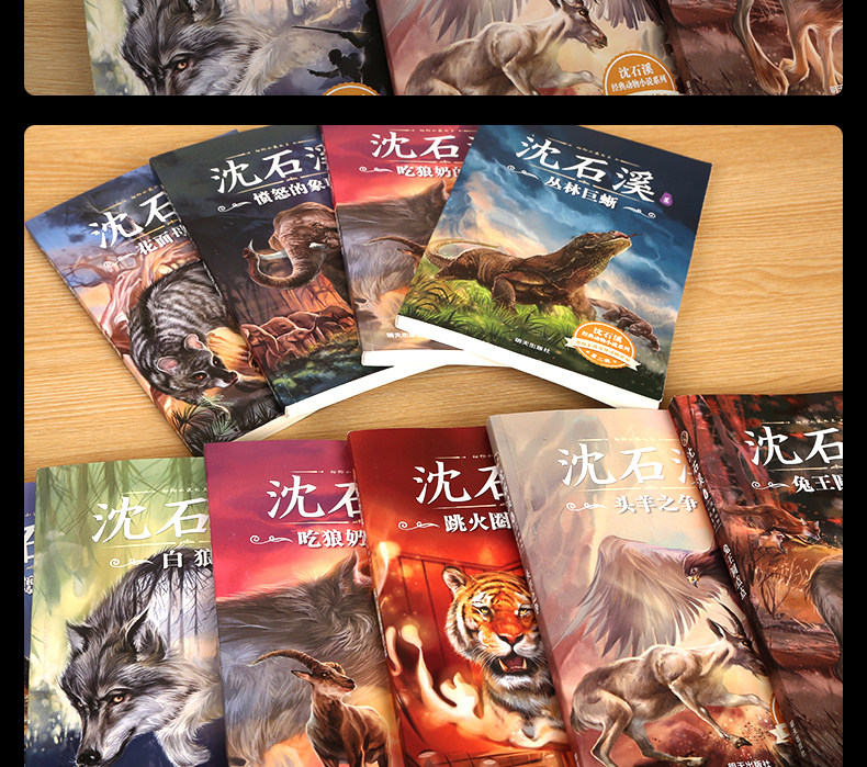 沈石溪动物小说合集 10册 图13