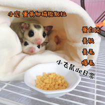 Meimao snacks Honey bag glider High protein egg yolk soft phospholipid granules snacks Hamster Hedgehog flying mouse Small pet food