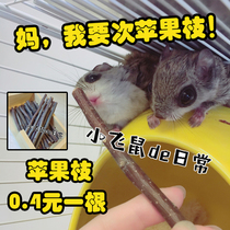 Its strange not to buy flying mouse molars apple branches devil golden flowers squirrels molars snacks rabbits chinchillas