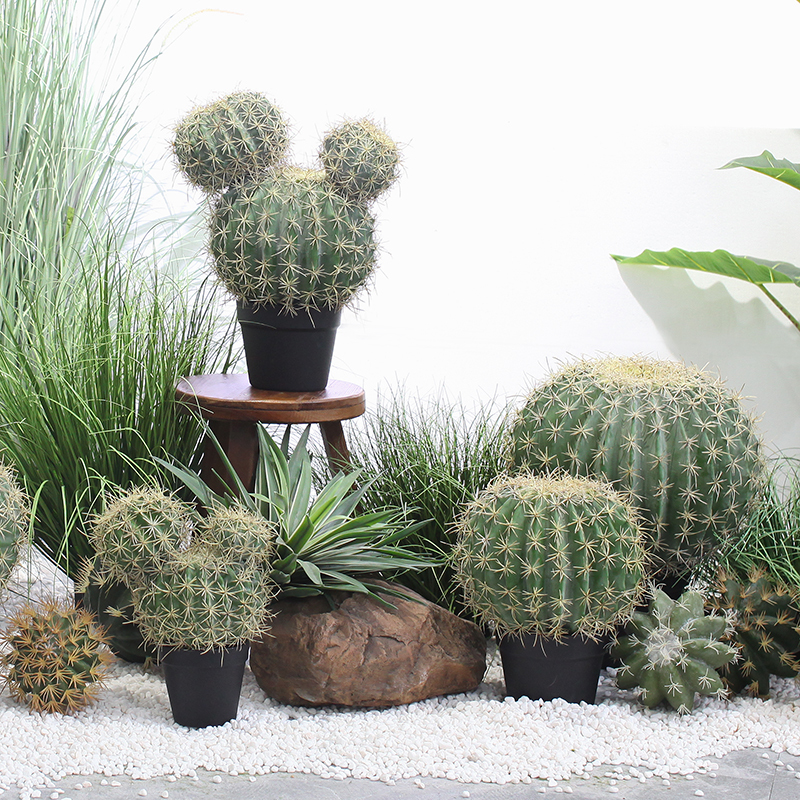 Simulated Cactus Potted Plants, Desert Green Plants, Landscape Ornaments, Nordic Home and Accommodation Indoor and Outdoor Decoration