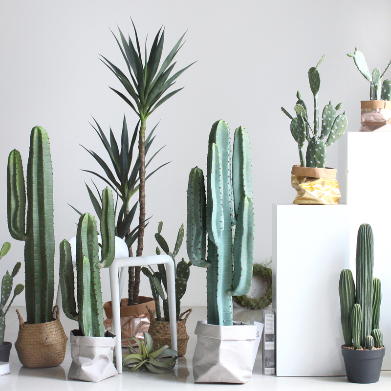 Nordic Home Decor Artificial Cactus Green Plant Potted Desert Plant Restaurant Shop Landscape Decoration