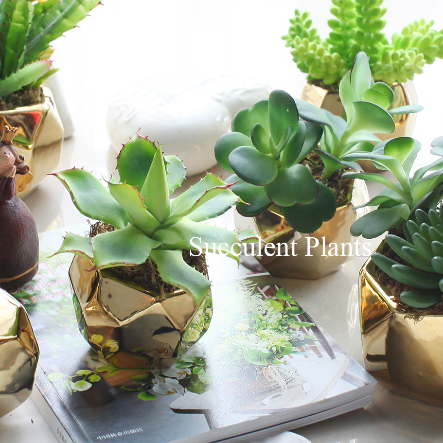 Nordic in simulation plant multimeat pot view Home room decorated green pot office furnishings