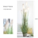 № 4 [Grass Green 7 -Heded Reed High 180]