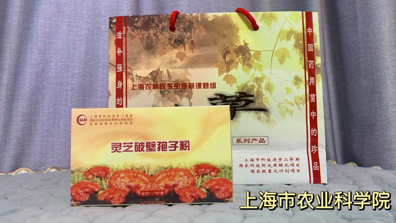 Shanghai Agricultural Academy Plant Protection Institute Pure Natural Ganoderma Spromium Powder 50g 98%