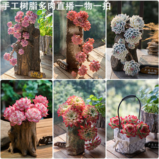 Crystal resin succulent works live broadcast one thing one shot Seiko hand-kneaded handicraft meat meat hand-made eternal flower