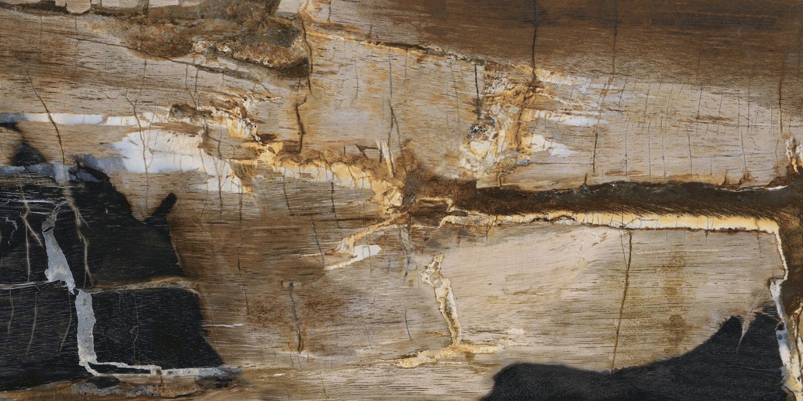 Nobel home economic modern minimalist net red popular casual light luxury wall and floor tiles XY618012