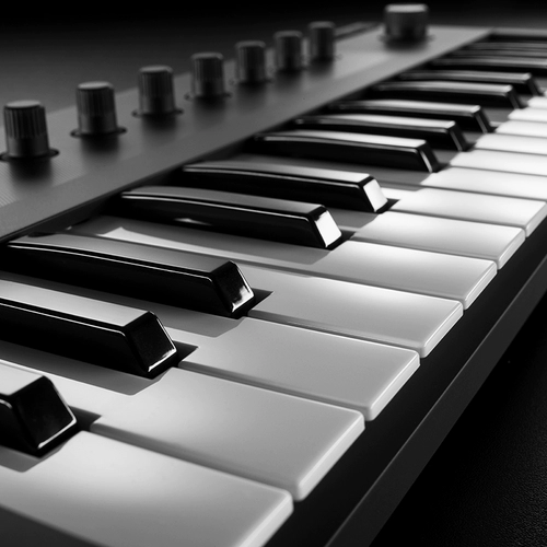 [Fork.com] ni клавиатура Komplete Kontrol M32 Electro -Music Midi Controller Spot