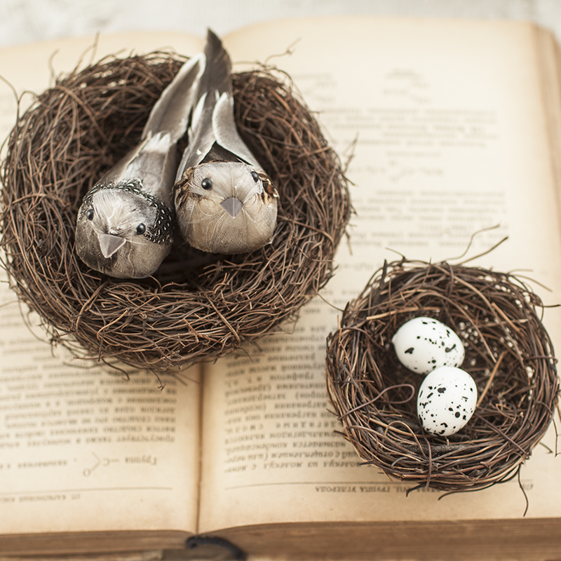 Bird's Nest Large Set Straw Decoration Bird Simulation Bird Feather Bird Fake Bird Mori Handmade DIY Material Pack