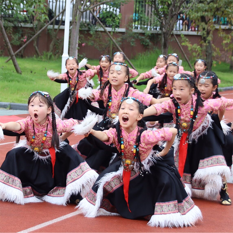 Girls' Group Dance Costumes for Performing under the Sun, Ethnic Minority Tibetan Auspicious Reba Drum Performance Costumes, New Style
