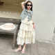 Denim vest suspender cake skirt ຊຸດສອງສິ້ນ