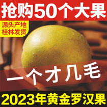 Golden dried mangosteen fruit low-temperature dehydrated large fruit independent small package Guangxi Guilin specialty freeze-dried mangosteen tea