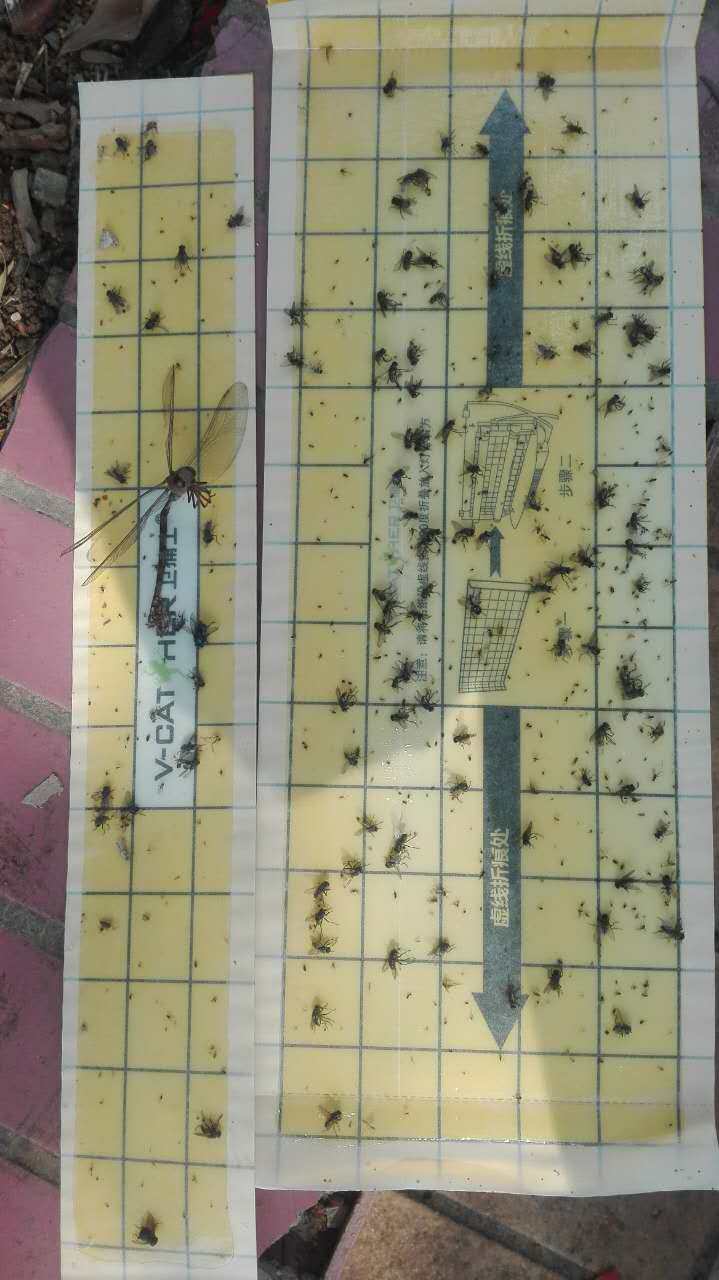 Official: Wei Catcher J12 J10 J17 Fishing Light Fitting Lamp Old Clean Paper Quality Packaging