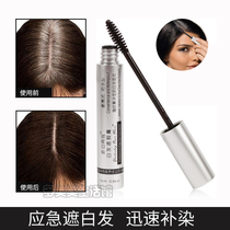 Disposable hair bar paste covers white hair emergency staining black hair cream without hurting white hair concealer cover pen