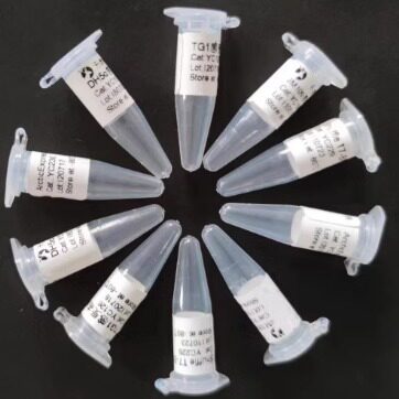 pYES2质粒 pYES-2 酿酒酵母菌蛋白表达载体 URA3筛选 GAL1启动子