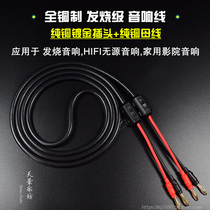 Fever pure copper oxygen-free copper HIFI sound line main speaker line horn line pure copper gold-plated incense head