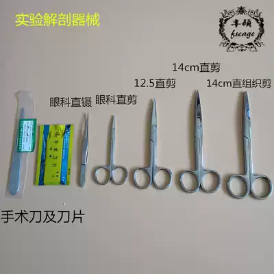 Medical mouse experimental scissors experimental instruments Ophthalmic forceps hemostatic forceps tissue scissors 5 pieces