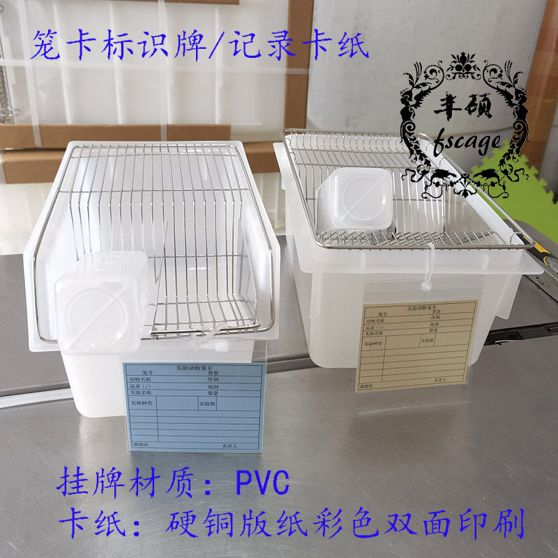 实验鼠笼标识牌/实验鼠盒挂牌/鼠笼挂牌/实验室鼠记录卡纸/笼卡