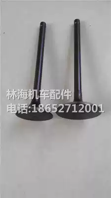 Linhai 250 260 300 400ATV four-wheel off-road motorcycle all-terrain beach fire truck intake and exhaust valve