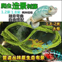 Crawl pet box cage landscape tree Vine Vine Vine