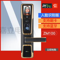 Mid-control smart tech ZM100 face recognition electronic lock intelligent anti-theft lock zkteco proxy direct
