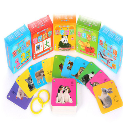 【诺沃伦】儿童双面益智识字卡