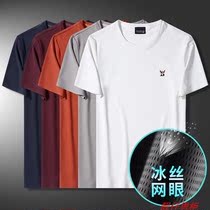 Summer male youth youth vitality ice silk hollow mesh short sleeve loose crew neck casual sports quick-drying t-shirt