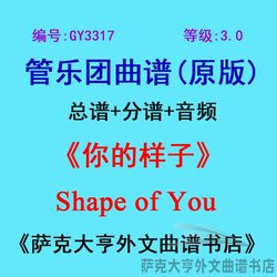 GY3317 (Level 3.0) Shape of You 관악 앙상블 악보 + 파트