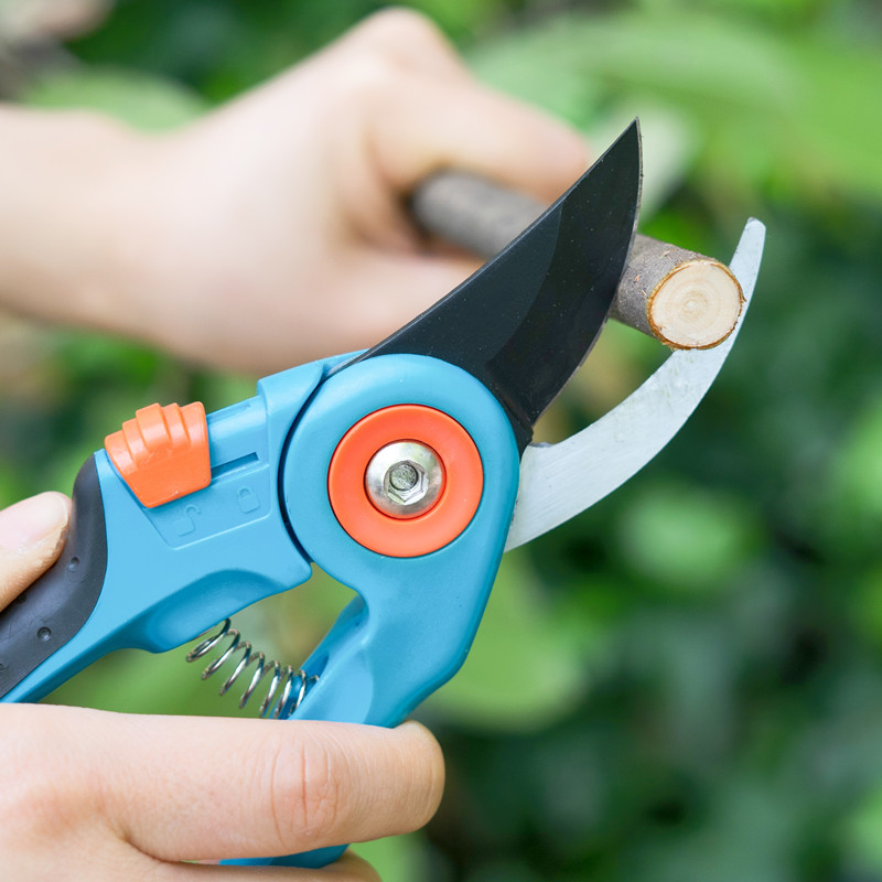 Pruning gardening tools scissors fruit tree branches garden flower branch flower art large scissors pruning shears picking fruit artifact