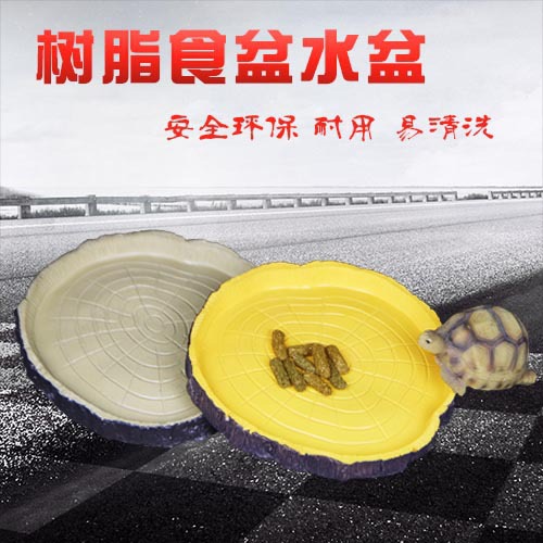 Land Tortoise Lizard Reptile Reptile Carnivora Pan Food Pan Food Box Resin