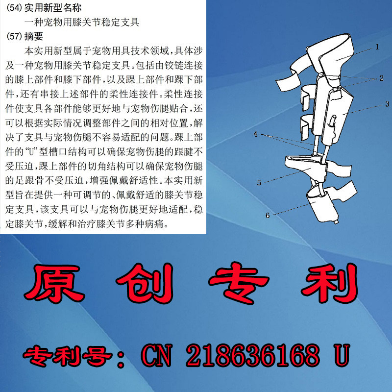 膝过伸矫形器有什么好处?如何选择适合的型号?