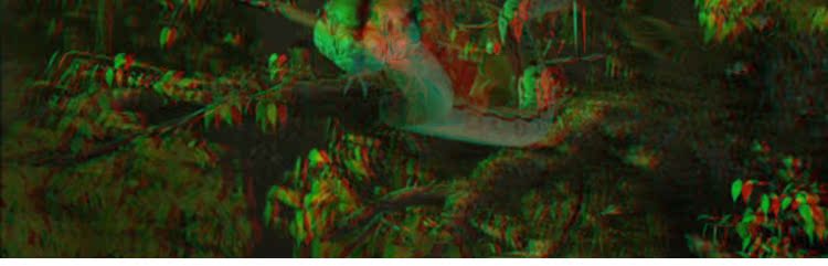 Lunettes 3D - Ref 1244459 Image 50