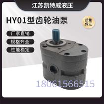 Gear pump hydraulic oil pump HY01-8x15 18x25 25x25 HY01-100x25 machine grinder lubrication