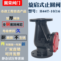 H44T pipe flange swing check valve vertical check valve for sewage pump with vertical check valve dn50 65 100