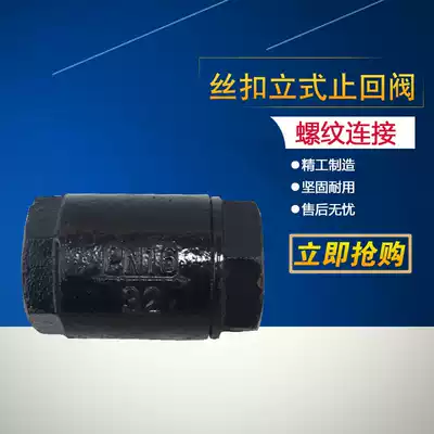 H12T copper core threaded thread spring horizontal vertical check valve water pipe check valve DN25 40 501 inch