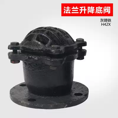 Lifting bottom valve H42X flange bottom valve Water pump suction bottom valve Filter valve Check valve Screw gray cast iron valve