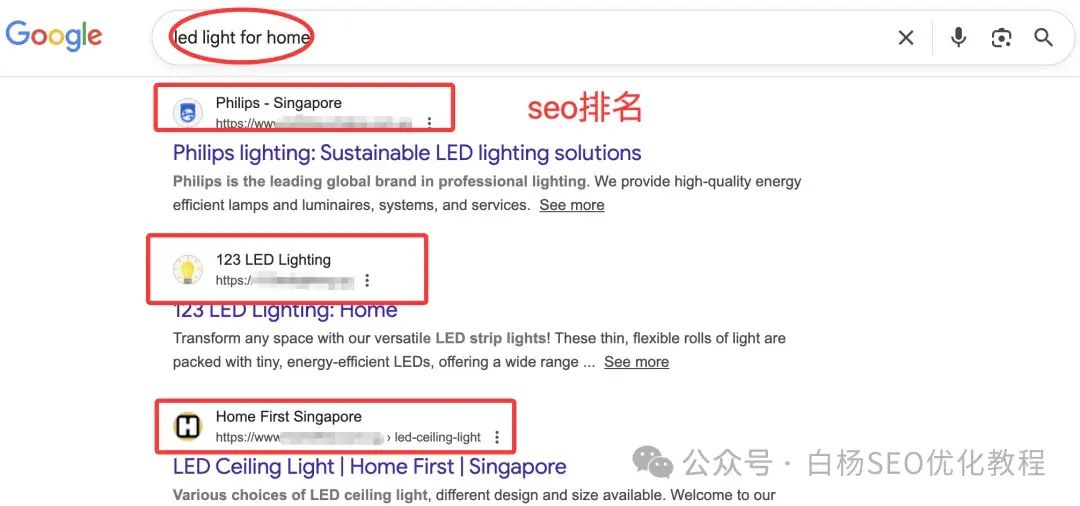 白杨SEO:国外独立站GEO例比什么做。15步能够操作方法分享