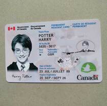 Personality custom entertainment card Canada COS film and television entertainment new Maple Leaf Canada PR animation prop card