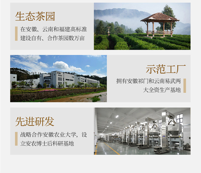 祥源茶 祁门红茶 祁红香螺 50g 图13