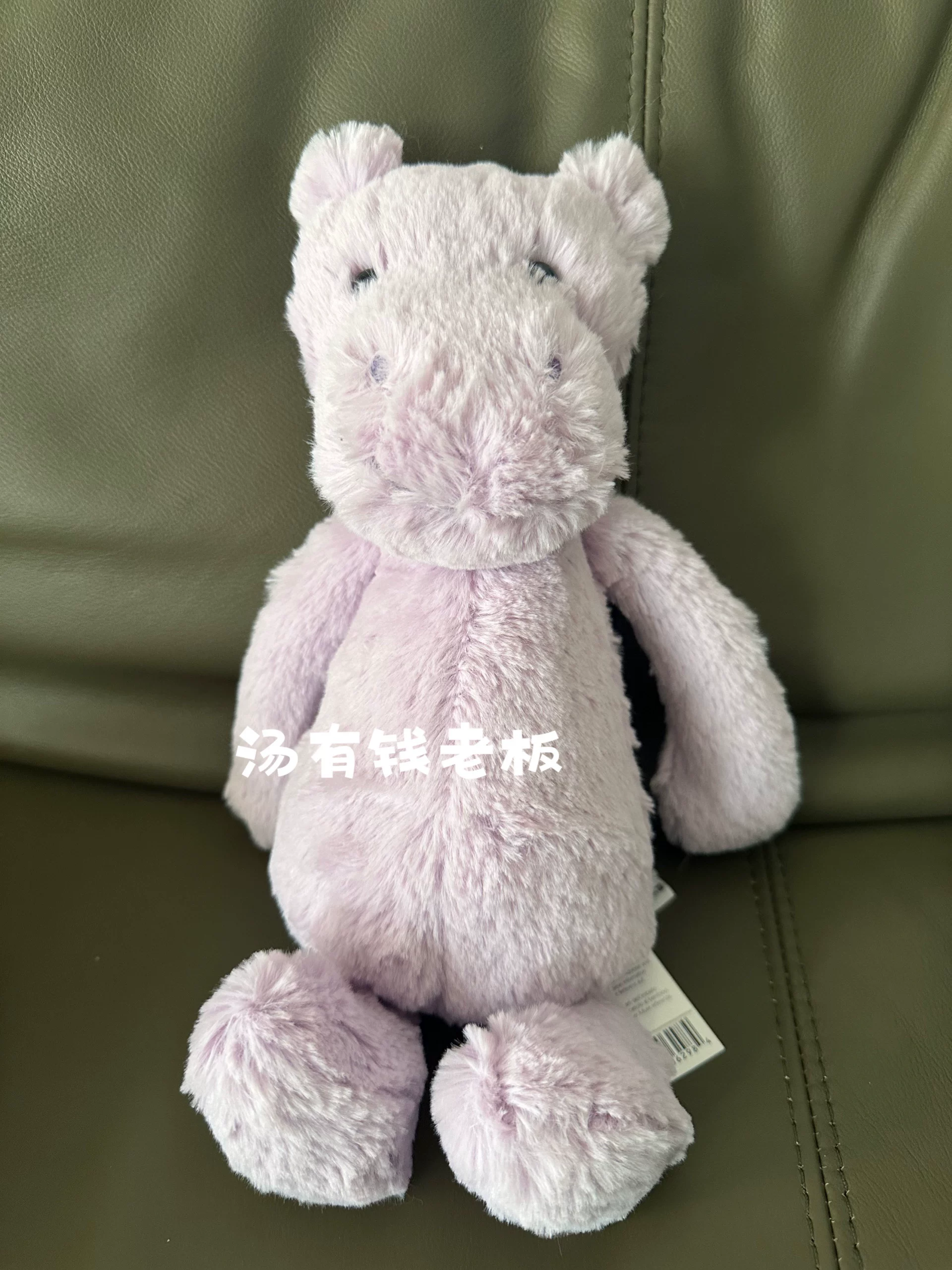 Jellycat, shy doll, (Physicals), hippo