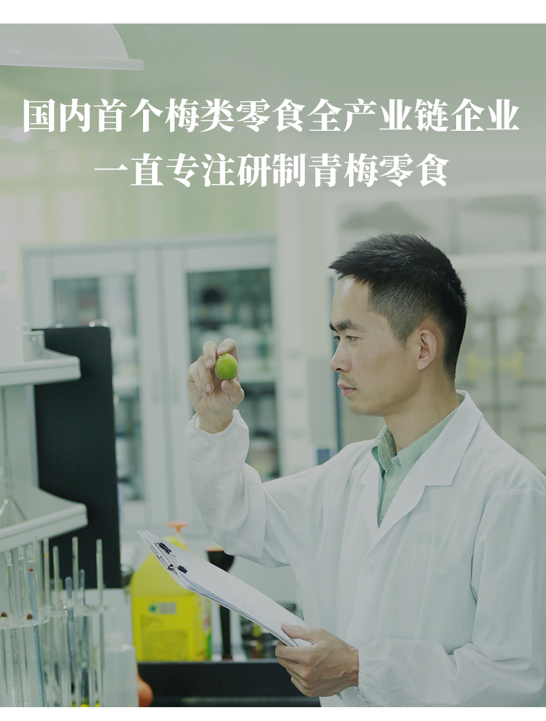 溜溜梅 优选乌梅雪莓多口味组合 472g 图10