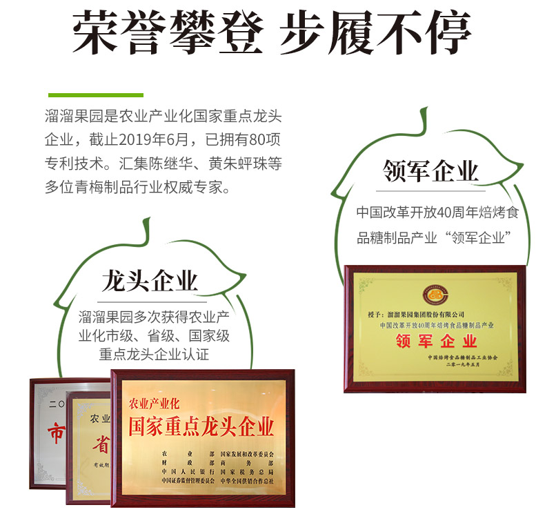 溜溜梅 优选乌梅雪莓多口味组合 472g 图11