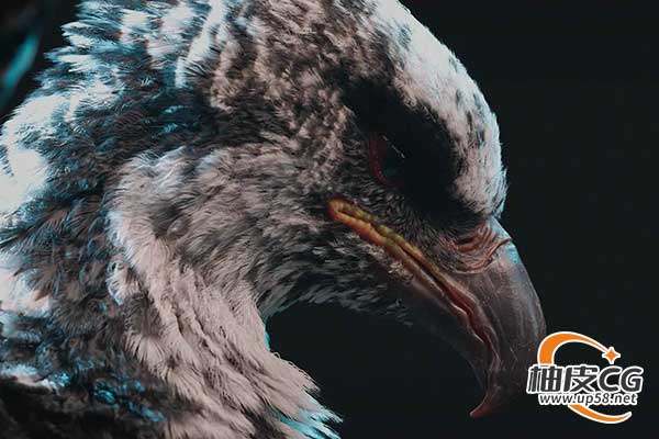 Maya及Yeti插件创作羽毛系统全面技能视频教程(中文字幕)