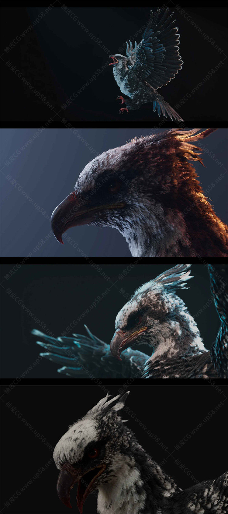 Maya及Yeti插件创作羽毛系统全面技能视频教程(中文字幕)