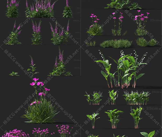 3DSMAX / VRay / Corona园林花草高品质3D模型素材